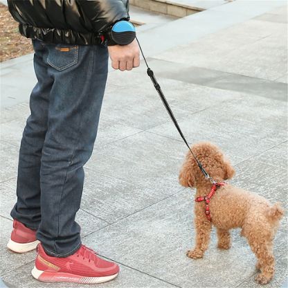 Retractable_Wrist_Hands_Free_Leash_Featured_Img-min