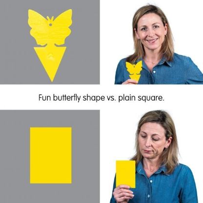 Sticky_Fruit_Fly_Gallery_Img4-min