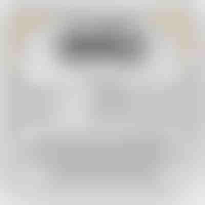 MÉ KRÁSNÉ VNUČCE - náhrdelník s přívěskem pozlaceným 14 karátovým bílým zlatem s krystaly zirkonů ORIANA