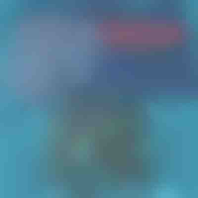 Rychleschnoucí plavky | TOGGIES