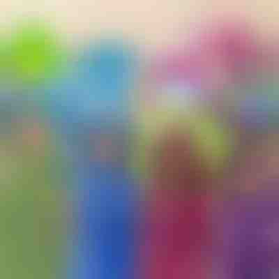 Hračka, polštář a mikina | PILLOWPET