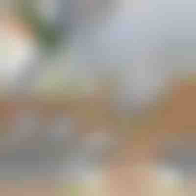 Multifunkční kráječ na zeleninu | SLICEIEST (4 čepele ZDARMA)