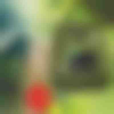 Přenosná sprcha | SHOWDY