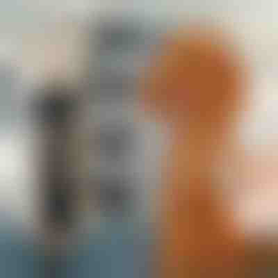 Sada na stříhání zvířecích chlupů | GULAMACHINE