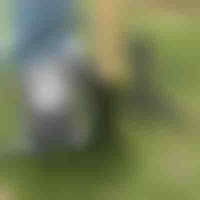 Nástroj na vytrhávání plevele | ROOTNIK