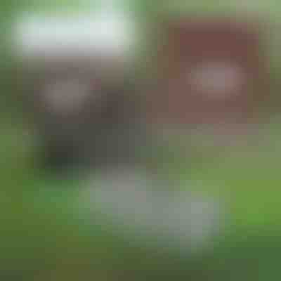 Multifunkční zahradní nástroj pro údržbu půdy | PRONGSPRO