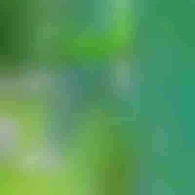 Nástroj na odstraňování plevele | SPINOUT