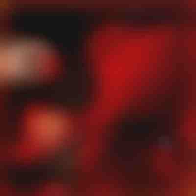 Dárek, který mluví láskou | LOVEBEAR