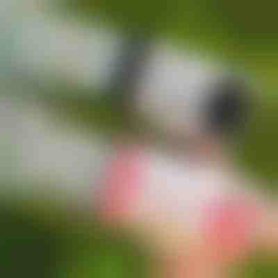 69-děrová LED bublifuková pistole | BUBBLEPUFF