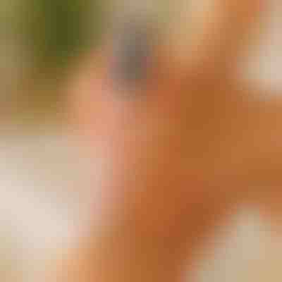 Elektrický pilník na nohy a odstraňovač ztvrdlé kůže - Mokré i suché použití | PEDIVIA