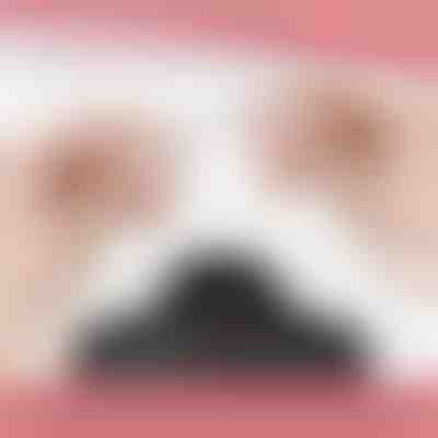 Magnetické zapínání na náhrdelník (12 ks) | MAGILINK