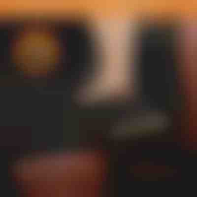 Voděodolný kryt zadního sedadla auta pro psy | CARIPET