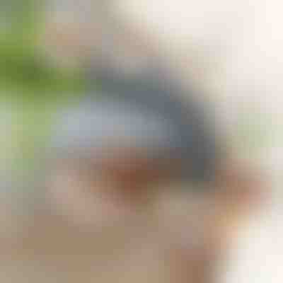 Interaktivní mávací ptačí hračka | CHIRRCAT