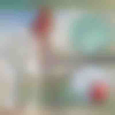 Teleskopický kovový hák na loď | FASTDOCK