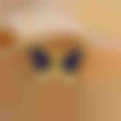 Náhrdelník s měnícími se barvami motýla | FLUTTERX