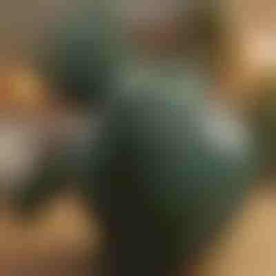 Vyhřívaný masážní přístroj na shiatsu | MASSORA